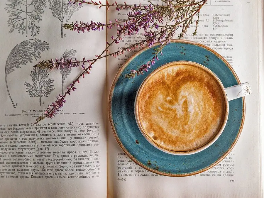 Cup of coffee on a blue saucer resting on an open book with flowers, symbolizing mindfulness, calm, and grounding practices to ease anxiety and stress
